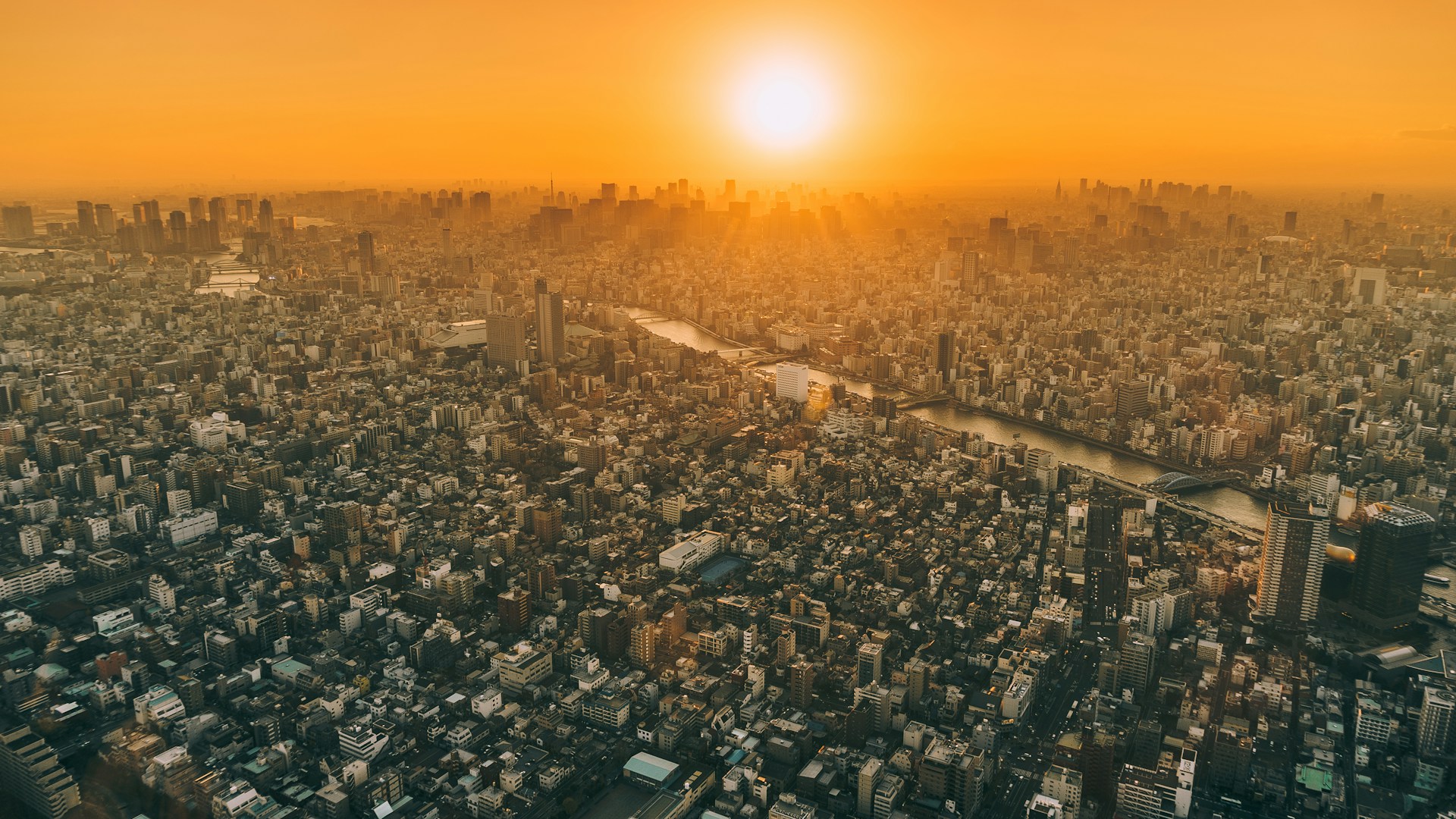 Modern city skyline